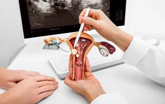 Chăm Sóc Sức Khỏe Phụ Nữ